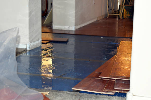 Professional Basement Flooding technician working in Flourtown, PA